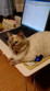 20080704223630.jpg